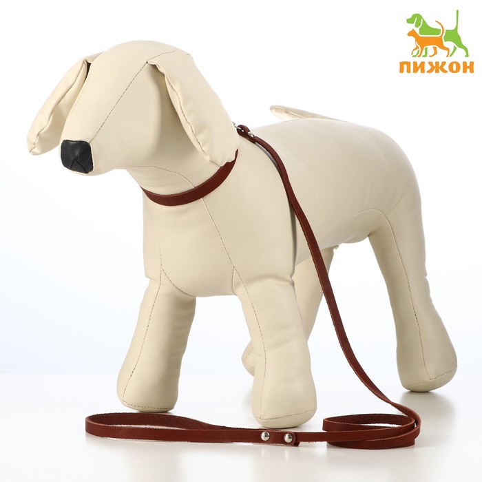 Комплект кожаный ошейник 33 х 1,2 см и поводок 135 х 0,8 см, коричневый
Комплект кожаный ошейник 33 х 1,2 см и поводок 135 х 0,8 см, коричневый