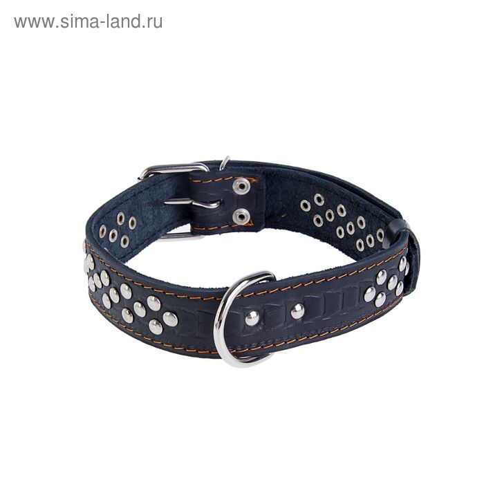 Ошейник кожаный тисненый однослойный, клепаный, 65 х 3,5 см, ОШ 49-61 см, микс цветов
Ошейник кожаный тисненый однослойный, клепаный, 65 х 3,5 см, ОШ 49-61 см, микс цветов