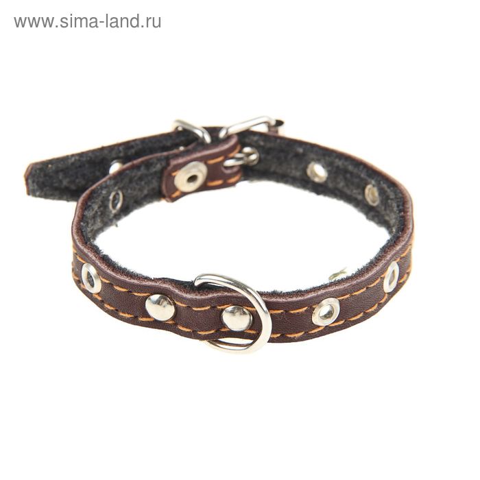 Ошейник кожаный тисненый на фетре, 30 х 1,2 см, безразмерный, микс цветов
Ошейник кожаный тисненый на фетре, 30 х 1,2 см, безразмерный, микс цветов