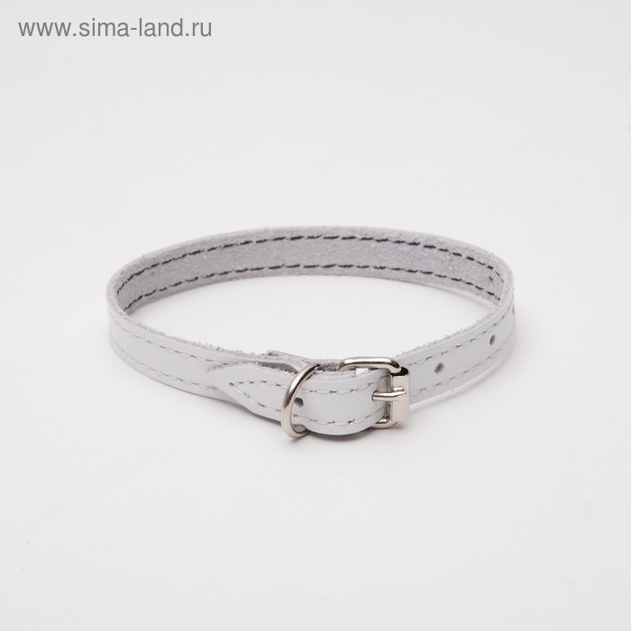 Ошейник кожаный однослойный, 25 х 1,2 см, ОШ 16-24 см, белый
Ошейник кожаный однослойный, 25 х 1,2 см, ОШ 16-24 см, белый