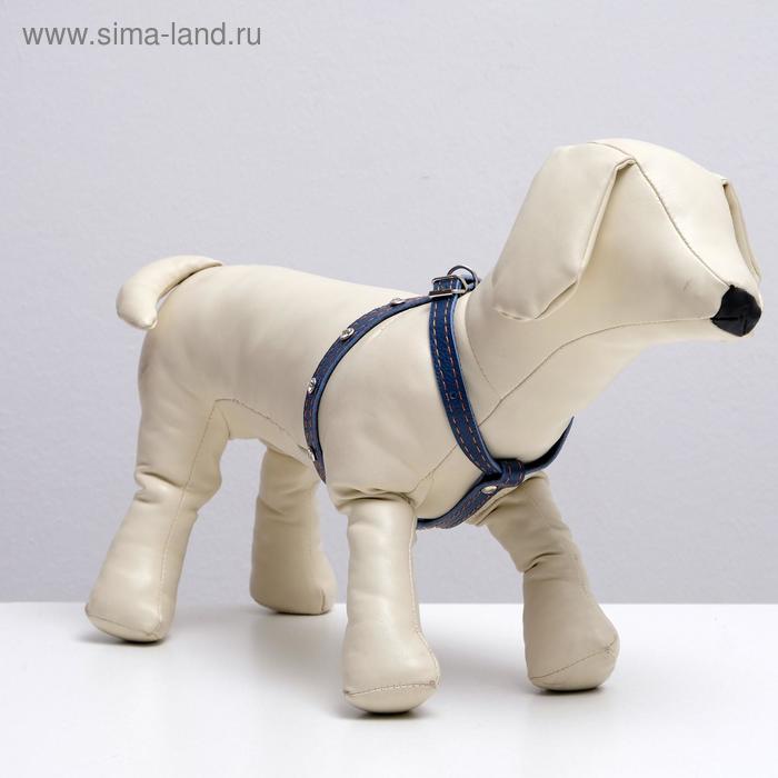 Шлейка кожаная двухслойная со стразами, регулируемая многоразмерная, 75 х 1,2 см, микс
Шлейка кожаная двухслойная со стразами, регулируемая многоразмерная, 75 х 1,2 см, микс