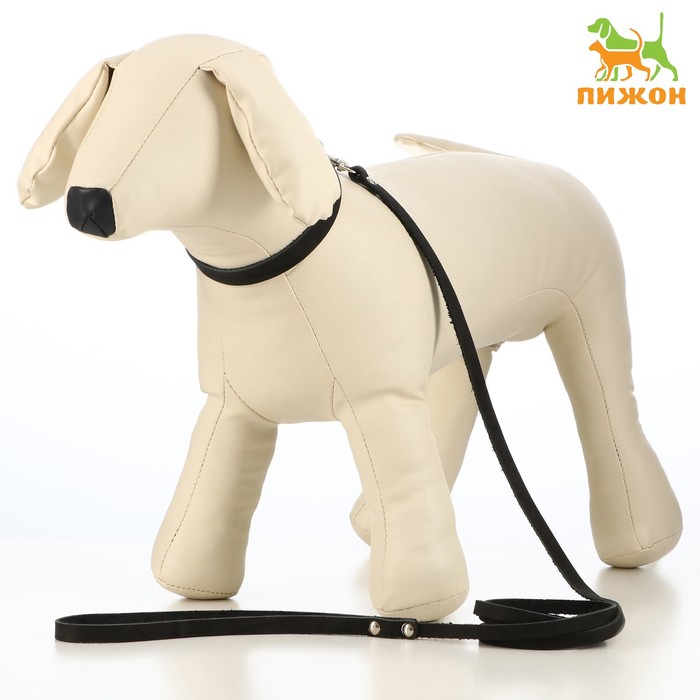 Комплект кожаный ошейник 33 х 1,2 см и поводок 135 х 0,8 см, чёрный
Комплект кожаный ошейник 33 х 1,2 см и поводок 135 х 0,8 см, чёрный