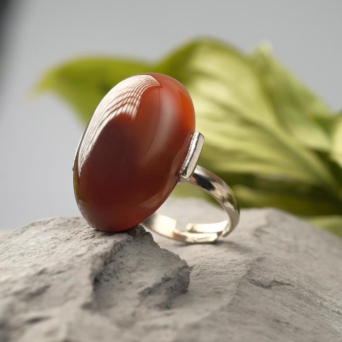 Кольцо овал "Сердолик", безразмерное
Кольцо овал "Сердолик", безразмерное