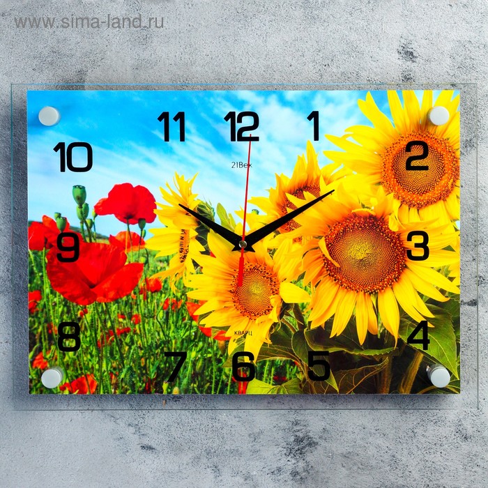 Часы настенные, серия: Цветы, "Подсолнухи и Маки", плавный ход, 25 х 35 см
Часы настенные, серия: Цветы, "Подсолнухи и Маки", плавный ход, 25 х 35 см