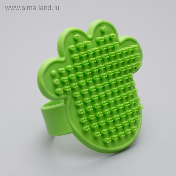 Щетка-наладонник "Лапа", 10,5 см, микс цветов
Щетка-наладонник "Лапа", 10,5 см, микс цветов