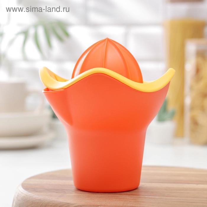 Соковыжималка для цитрусовых «Польза», цвет оранжевый
Соковыжималка для цитрусовых «Польза», цвет оранжевый