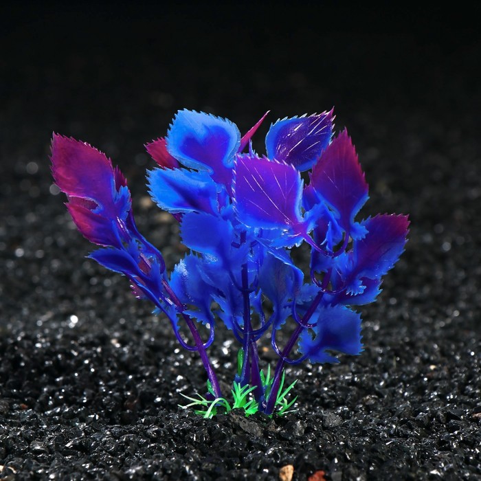 Растение искусственное аквариумное Людвигия, 10 см
Растение искусственное аквариумное Людвигия, 10 см