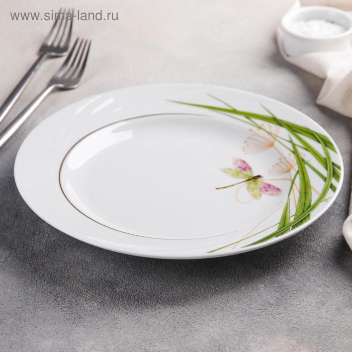 Тарелка мелкая «Стрекоза», d=24 см
Тарелка мелкая «Стрекоза», d=24 см