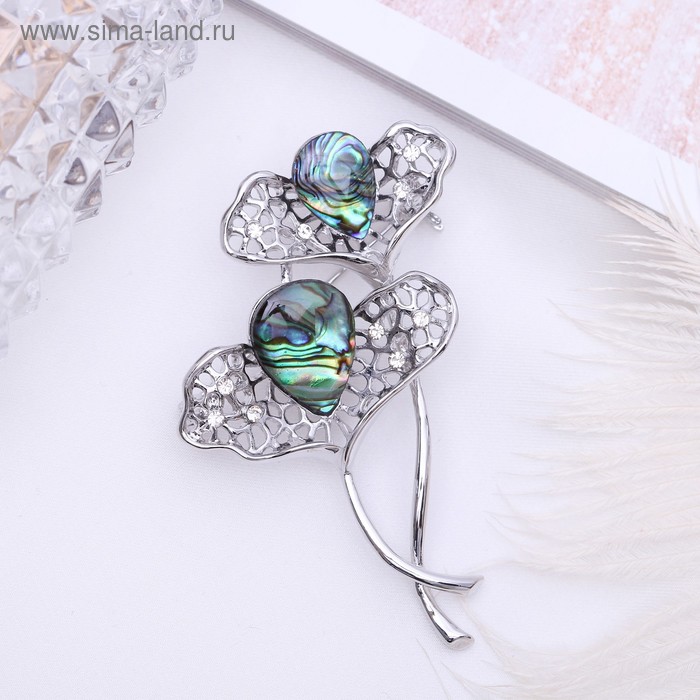 Брошь "Галиотис" цветок в серебре
Брошь "Галиотис" цветок в серебре