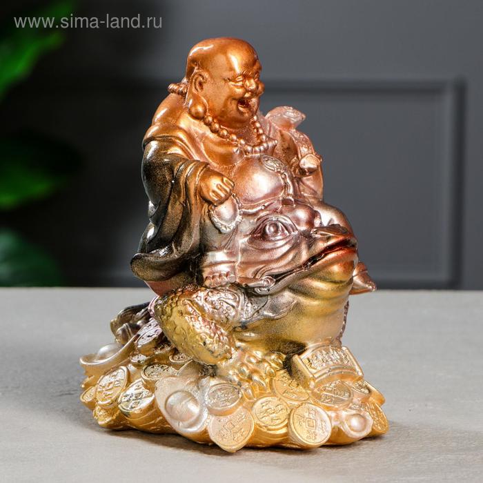 Копилка "Хоттей на жабе", глянец, разноцветная, 19 см, микс
Копилка "Хоттей на жабе", глянец, разноцветная, 19 см, микс