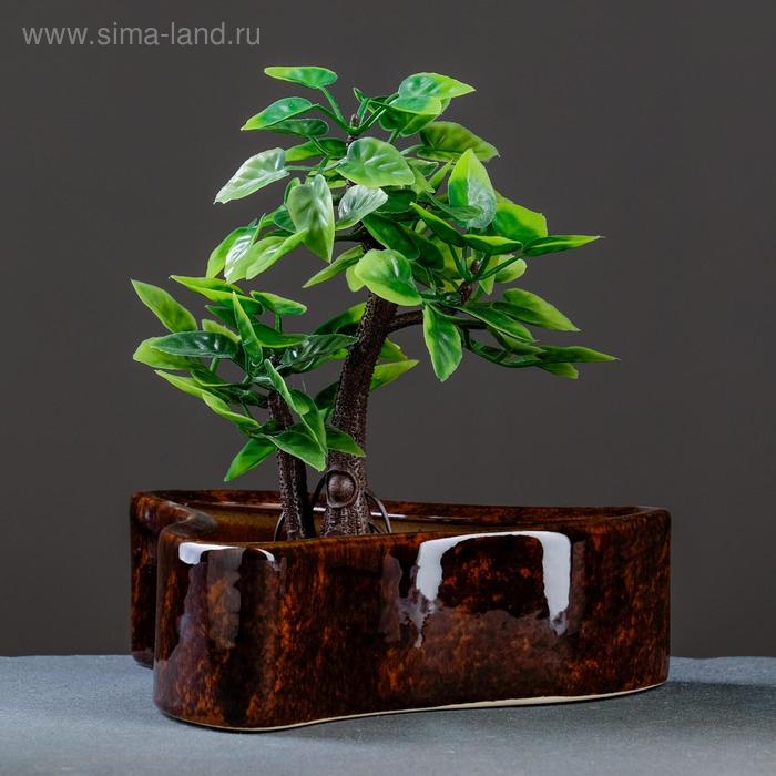 Кашпо "Медуза" коричневое 0,57 л
Кашпо "Медуза" коричневое 0,57 л