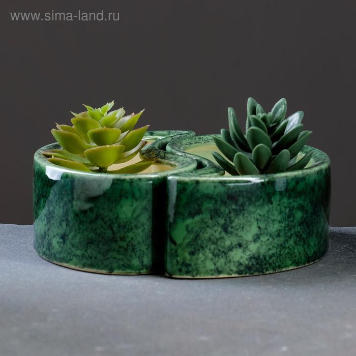 Кашпо "Инь-ян" зелёное 0,45 л
Кашпо "Инь-ян" зелёное 0,45 л