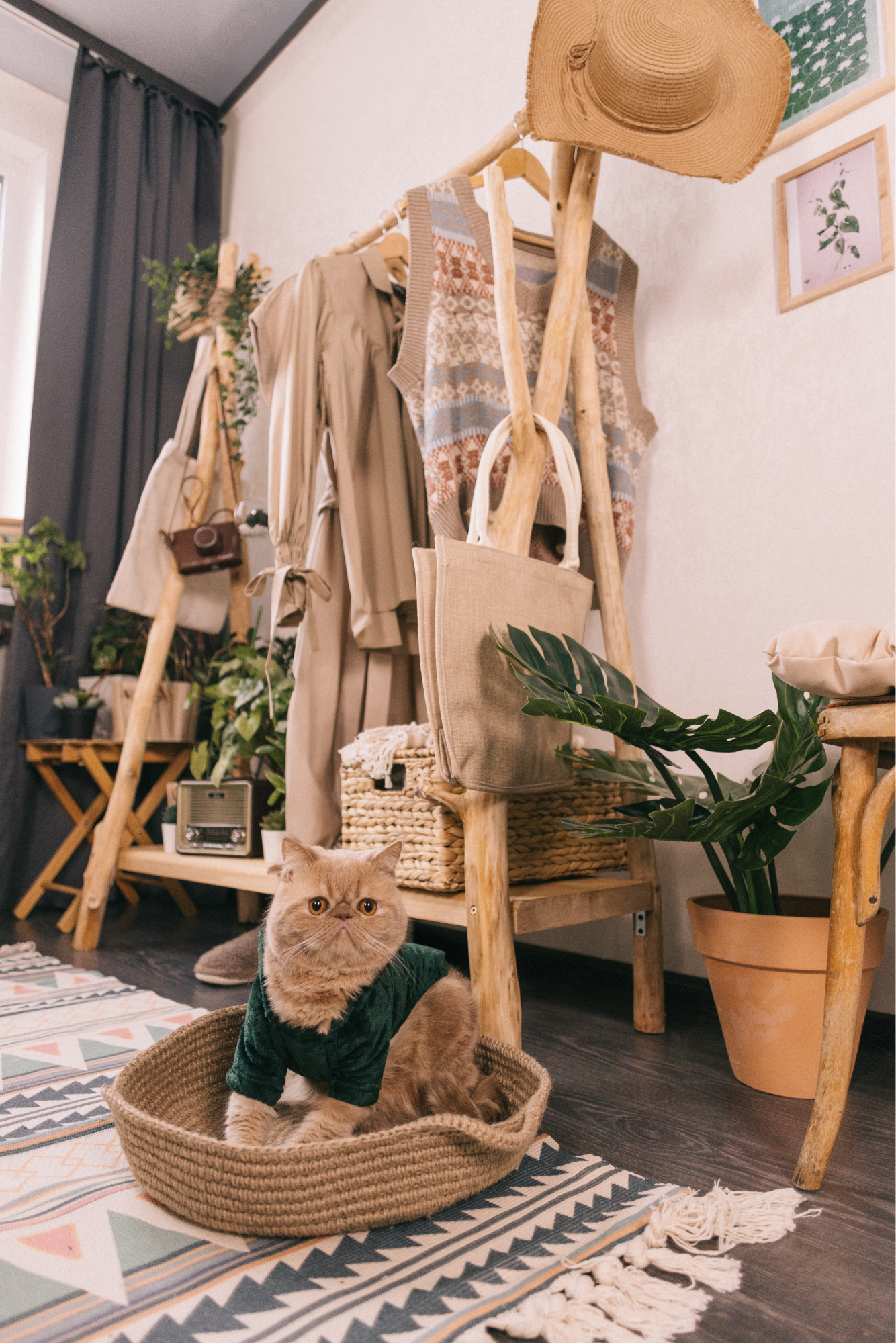 вещи на вешалке и кот