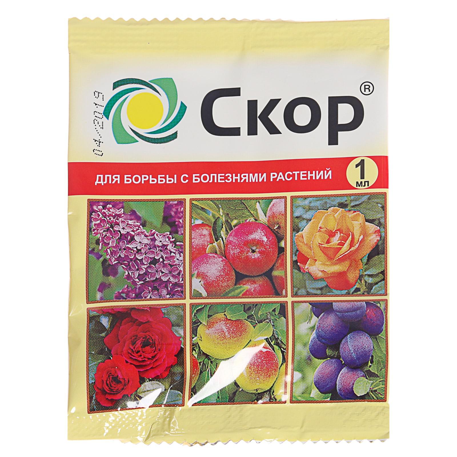 Фунгицид для цветов