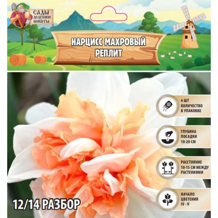 Махровый нарцисс «Реплит»