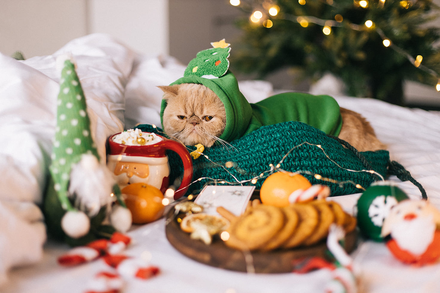 Домашний Новый год