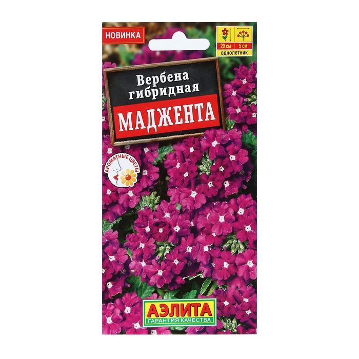 Семена вербены