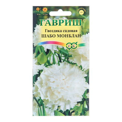 Как сажать гвоздику Шабо