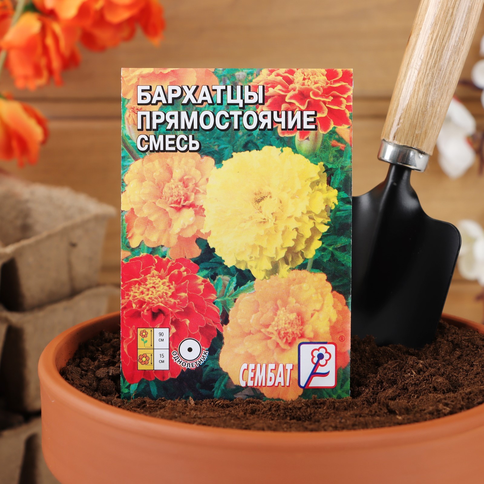 Семена бархатцев