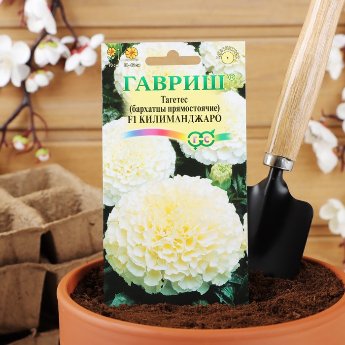 Семена бархатцев