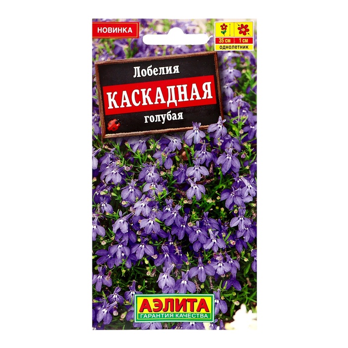 Семена фиолетовой лобелии