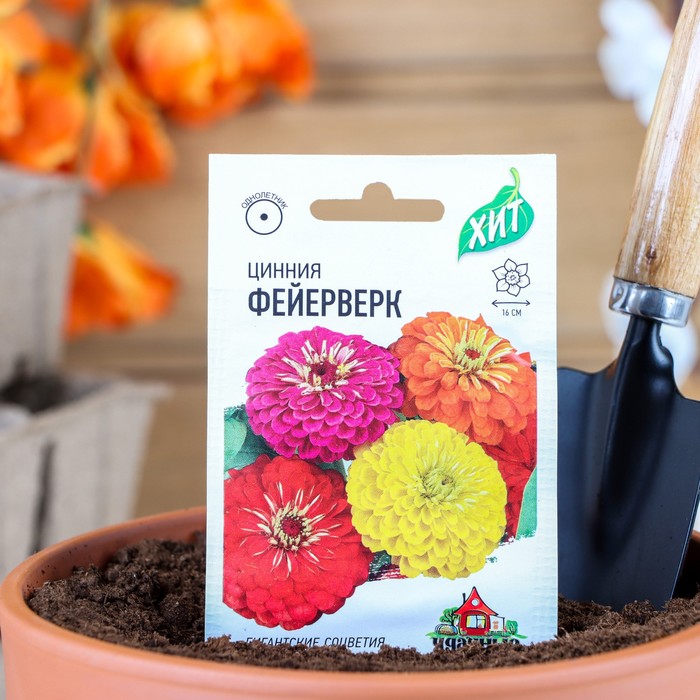 Семена цинии