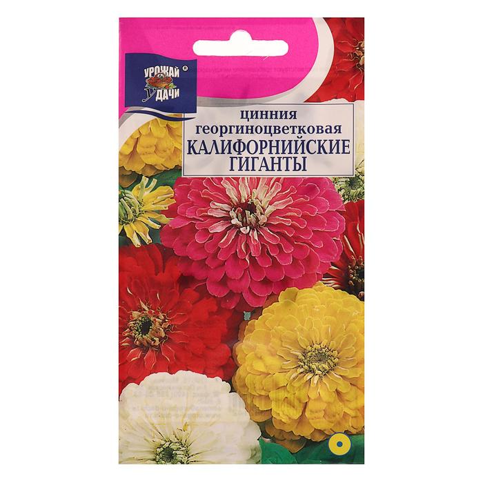 Семена цинии