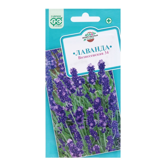 Семена лаванды