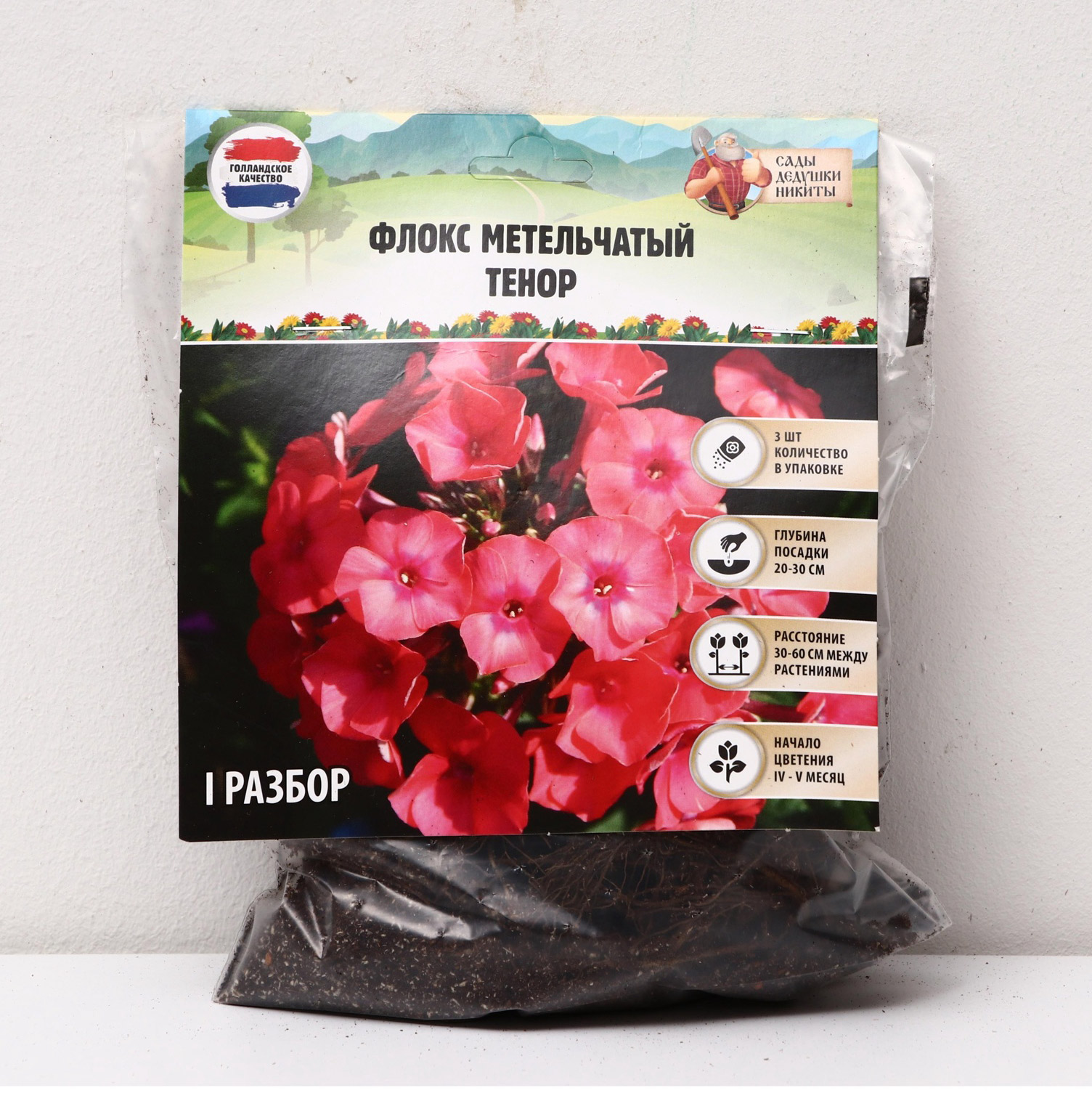 Флокс метельчатый «Тенор»