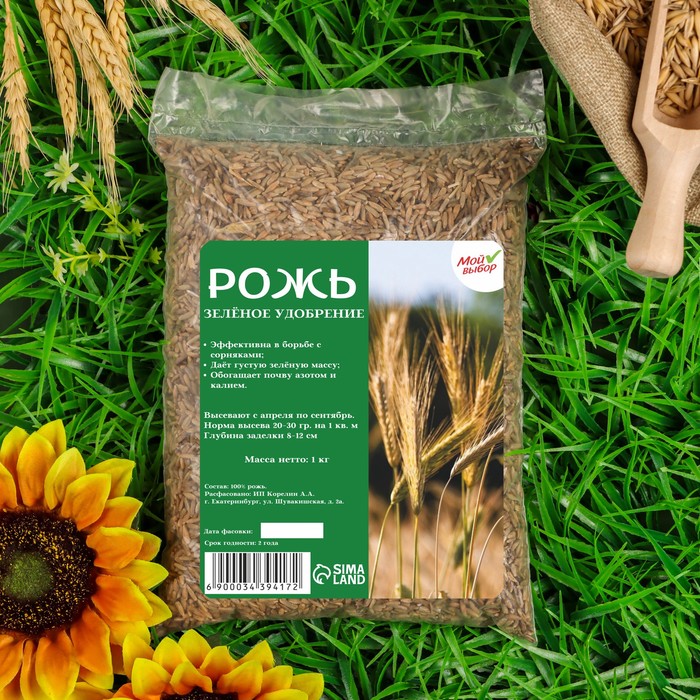 Семена ржи