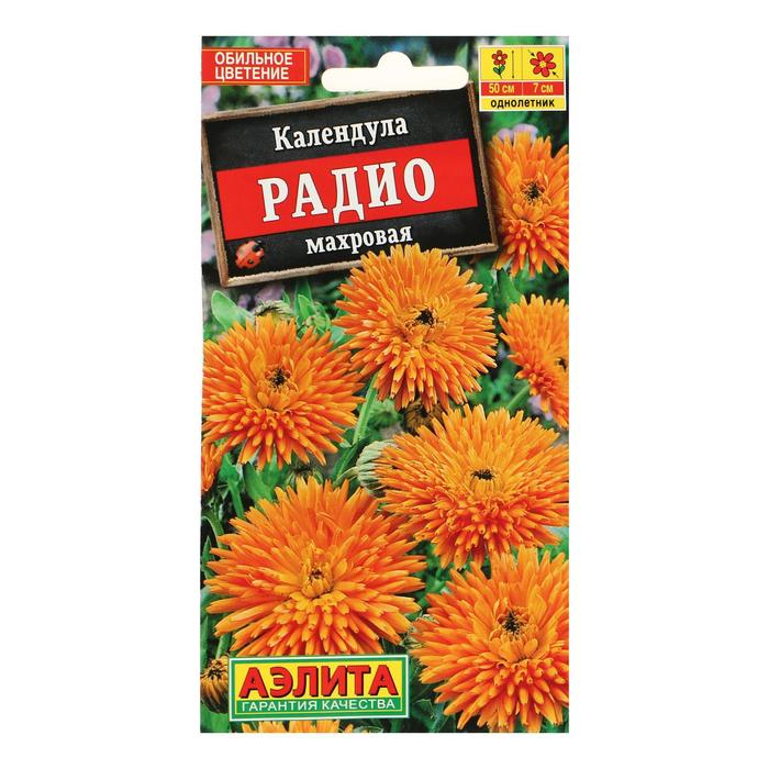 Календула «Радио»