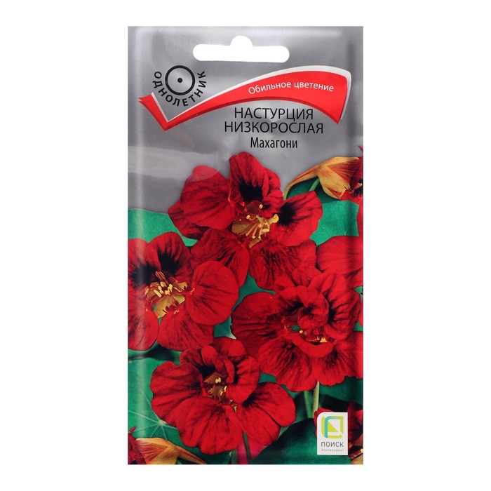 Настурция «Махагони»