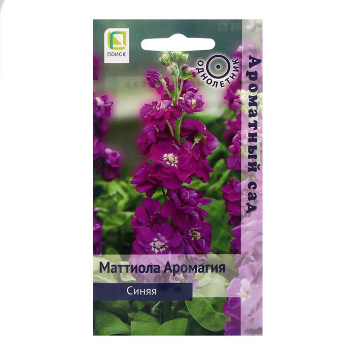 Семена маттиолы синей
