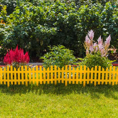 цветы в саду