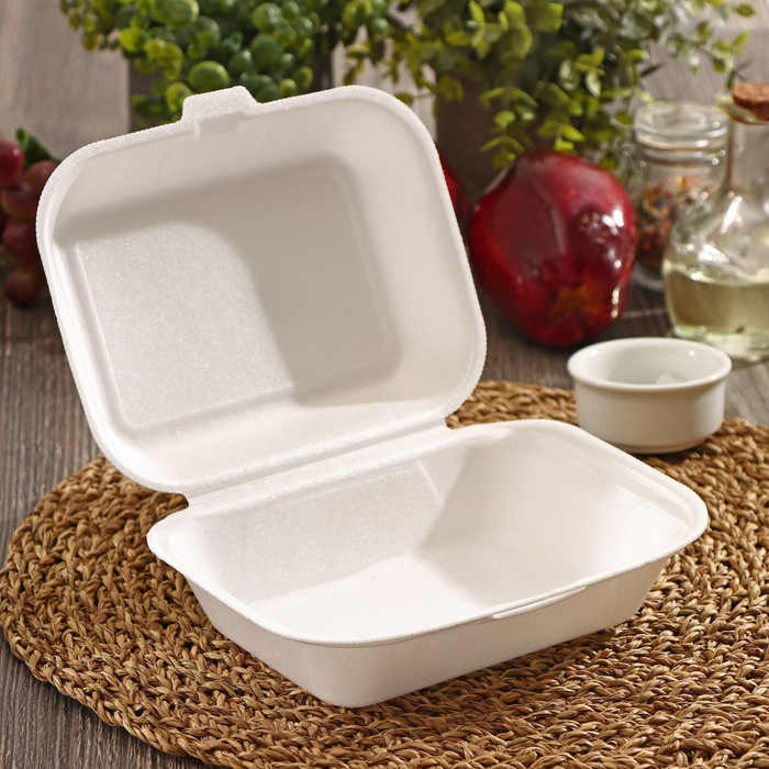 Ланчбокс из полистирола для пищевой упаковки