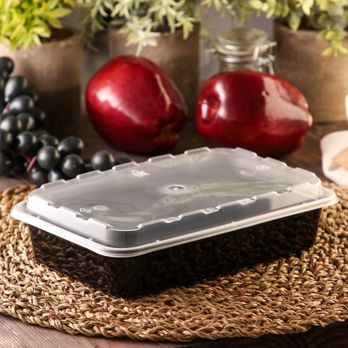 Одноразовый контейнер 