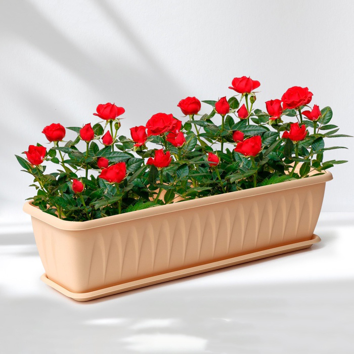 Балконный ящик для цветов