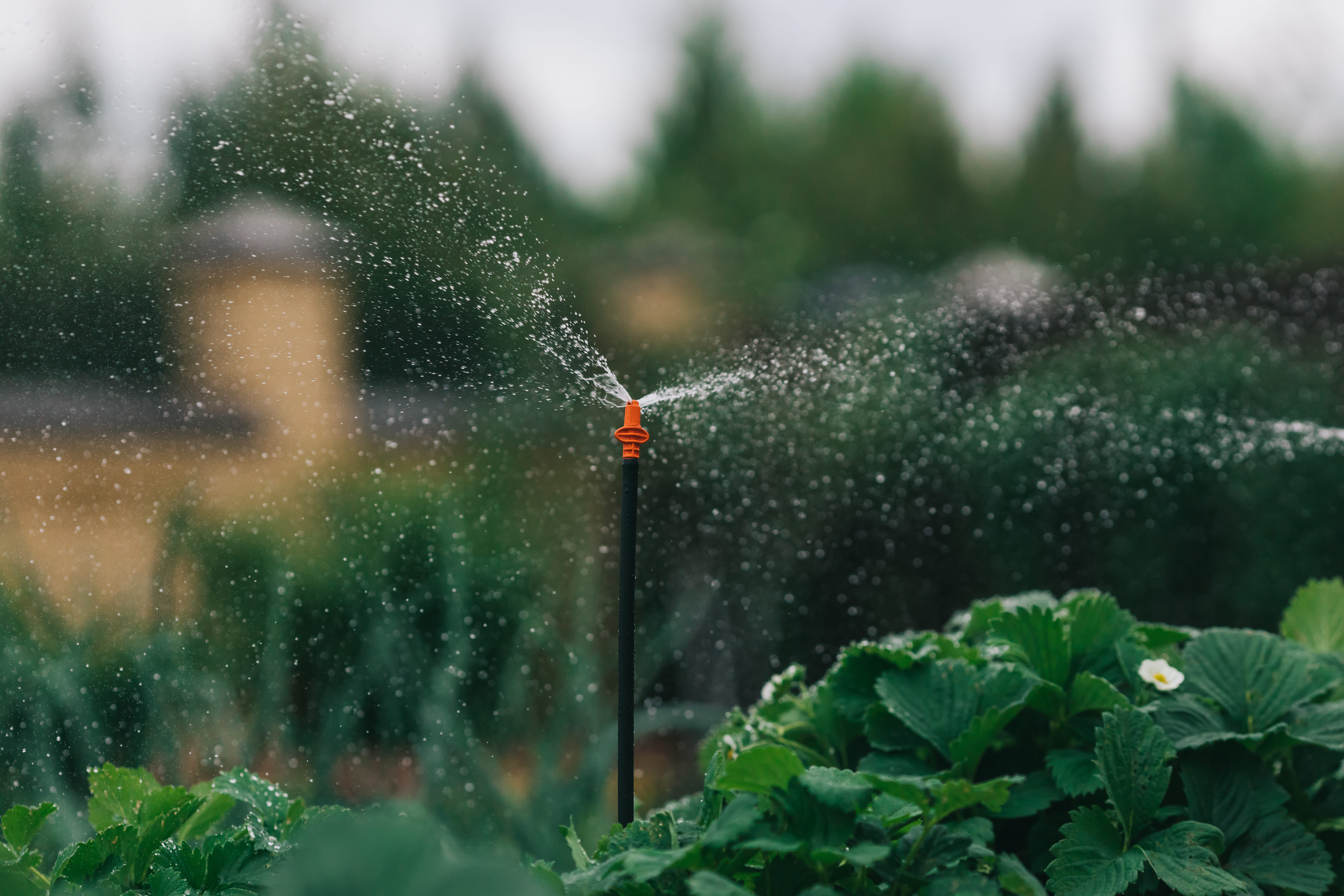 Автоматический полив для сада