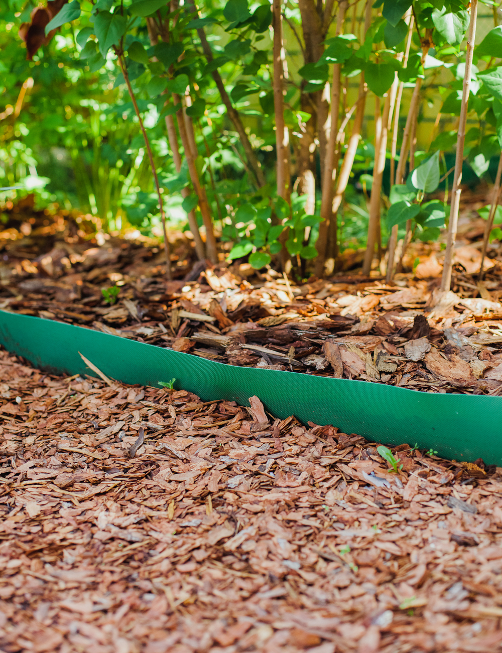 мульча на грядке