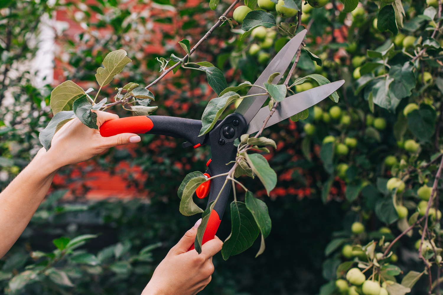 обрезка веток