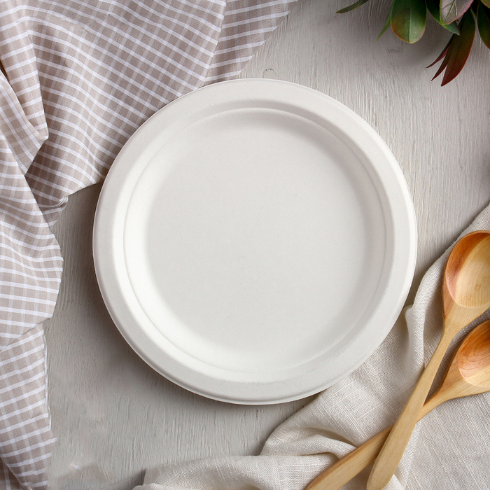 Тарелка из сахарного тростника