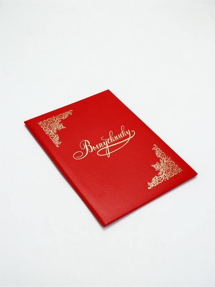 Папка «Выпускнику»