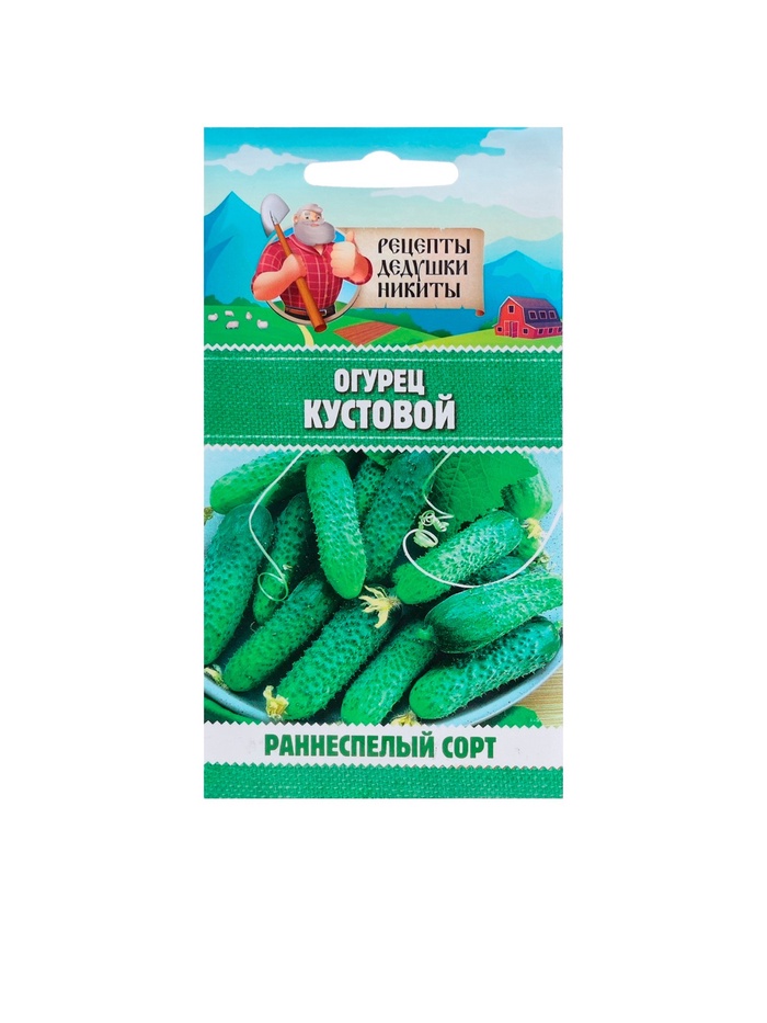 Семена огурцов «Кустовой»