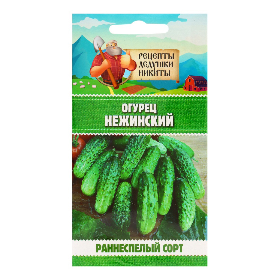 Семена огурцов «Нежинский»