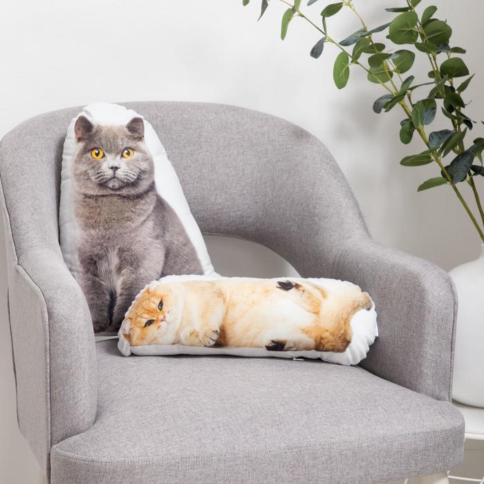 Кошки-подушки