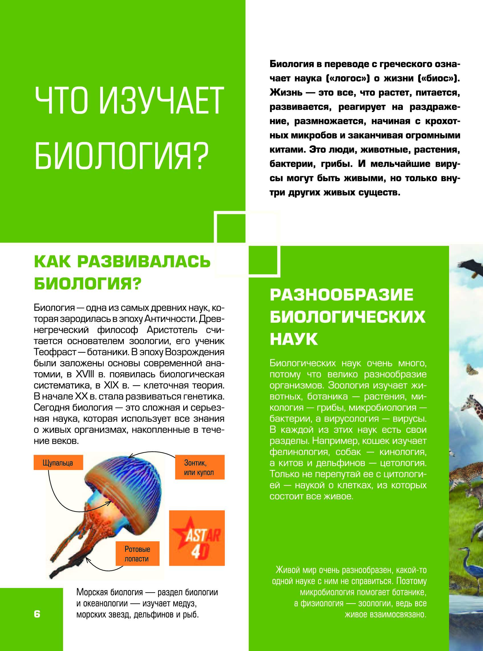Гигантская Детская Энциклопедия С Дополненной Реальностью Купить