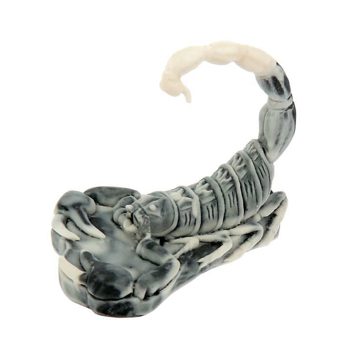 Сувенир "Скорпион"