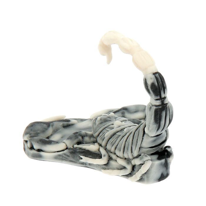 Сувенир "Скорпион"