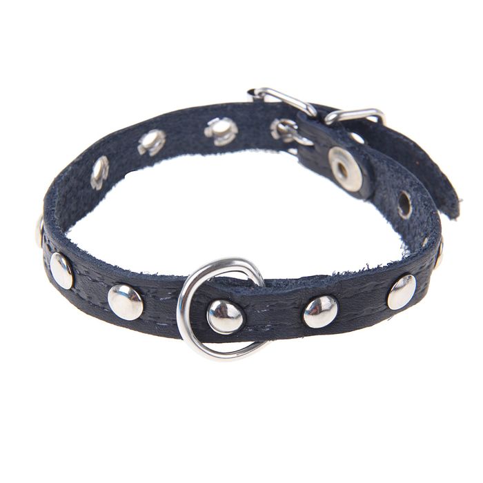 Ошейник кожаный тисненый однослойный, 31 х 1,2 см, украшенный, микс цветов