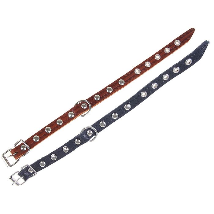 Ошейник кожаный тисненый однослойный, 31 х 1,2 см, украшенный, микс цветов